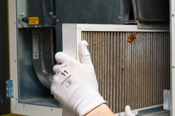 Best Best Air Duct Cleaning Company  in Keystone, FL